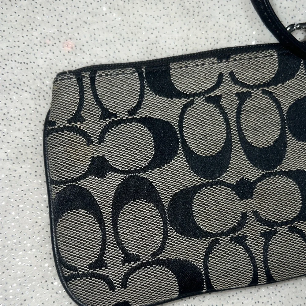 Coach handheld inside